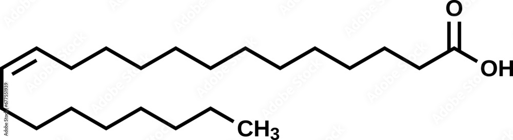 Erucic acid structural formula, vector illustration Erucic acid structural formula, vector illustration