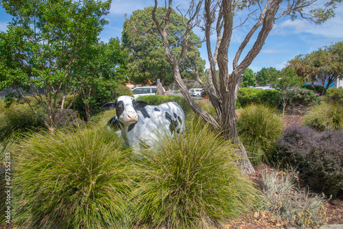 Statue Cows of Cowaramup: Whimsical and engaging shots of the famous cow statues that add a unique flair to the town.