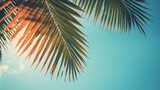 Tropical palm leaves over sky background vintage tone