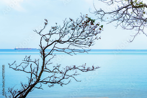 Papier peint Autumn branch on background of sea. Minimalism. Fall concept