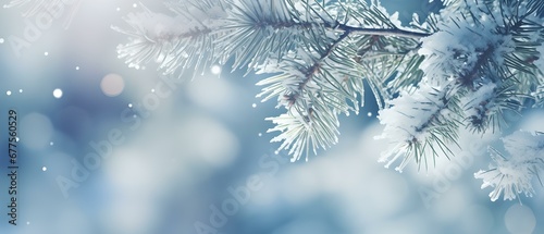 Weiße Winterpracht: Tannenzweige im Schnee als Beitragsbild für frostige Artikel © Max