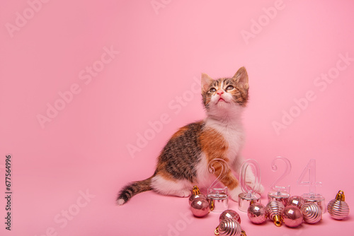 Small tricolor kitten on pink background sits next to transparent numbers 2024 New Year. Isolated background with Christmas toys balls on the floor. Monochrome postcard. Copy space. Holidays with pets photo