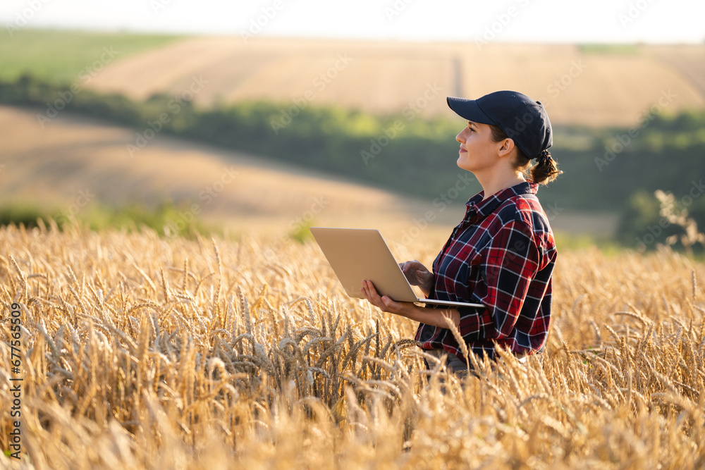 Woman farmer working with laptop on wheat field. Smart farming and digital agriculture..