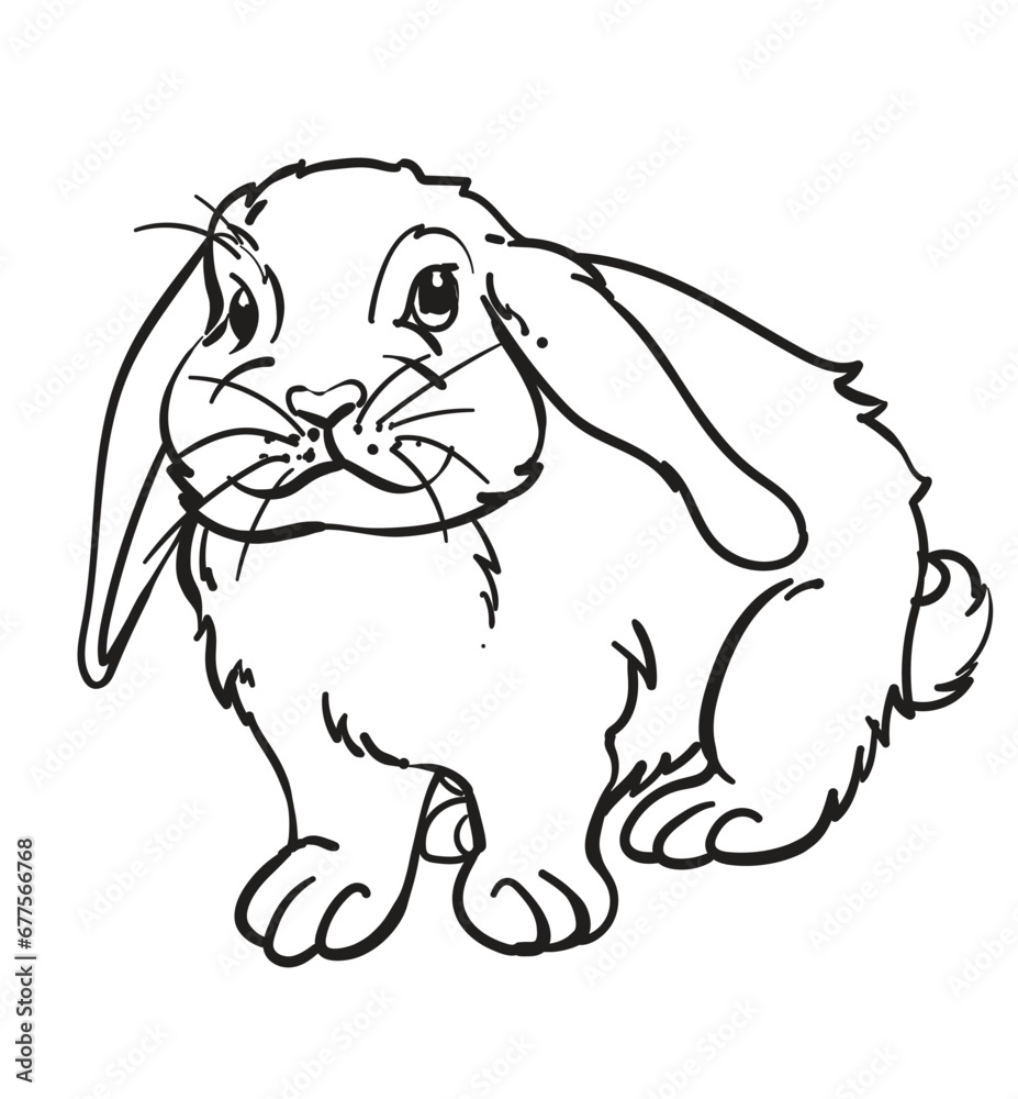 hand drawn bunny rabbit vector illustration