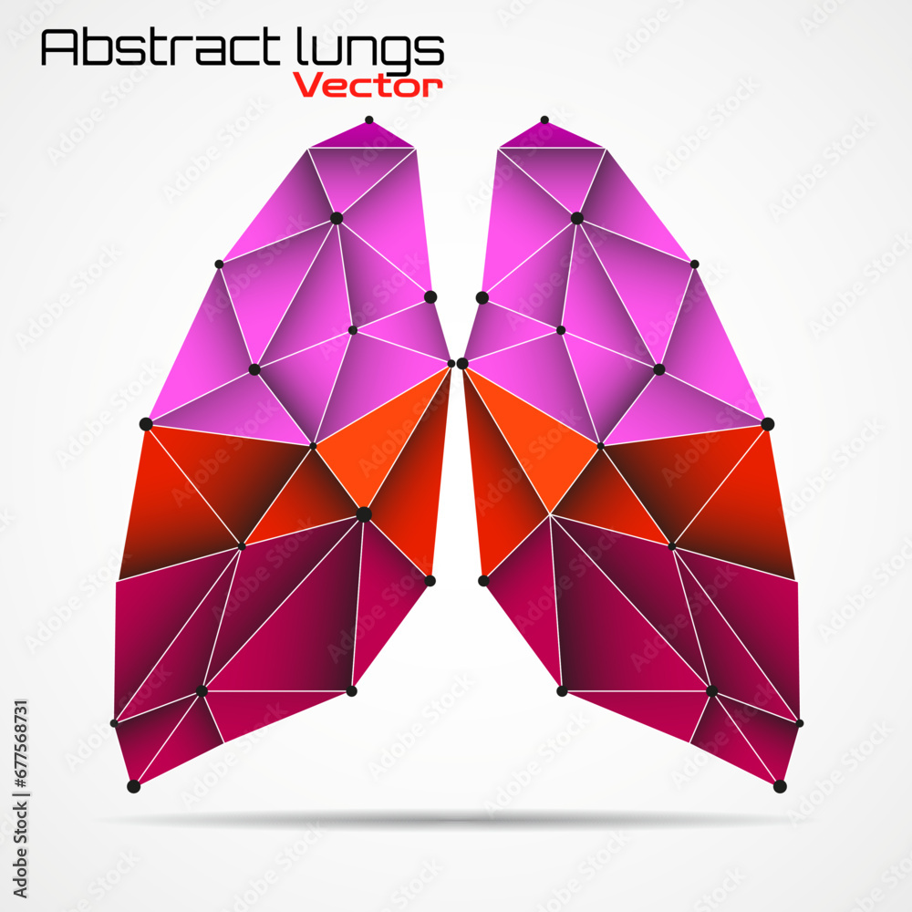 Lungs human. Abstract polygonal style. Geometric concept. Vector illustration Lungs human. Abstract polygonal style. Geometric concept. Vector illustration