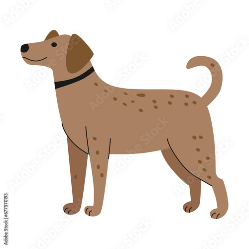 flat illustration of dog animals