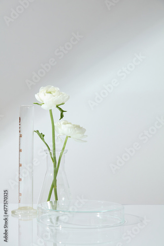 Transparent podium in round shaped decorated with a measuring cylinder and conical flask of flower branch. Empty space for natural product presentation