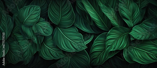 The abstract pattern in the texture of the summer nature background mimics the intricate lines of a tropical plant s leaves creating a vibrant green forest backdrop © TheWaterMeloonProjec