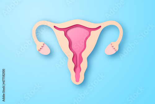 Paper craft of the woman uterus on blue background. Cross section of woman uterus for women's health care concept. photo