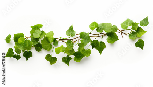 green leaves on white background generating by AI technology