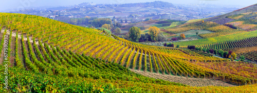 famous wine region in Piedmont, Italy. Scenic villages between the hills and vineyards. autumn landscape scenery with colorful fields of grapewine