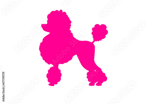 Poodle