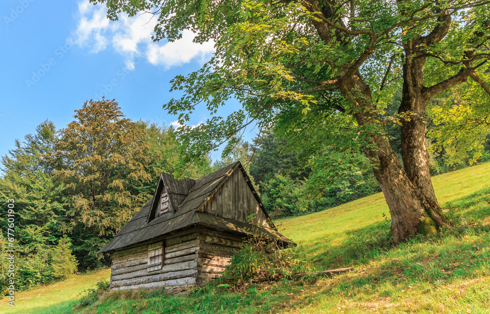 A wooden shepherd's hut under a lonely tree in a meadow on the slopes of the Skrzyczne mountain overlooking the tourist town of Szczyrk in the Silesian Beskids (Poland) on a sunny autumn afternoon.