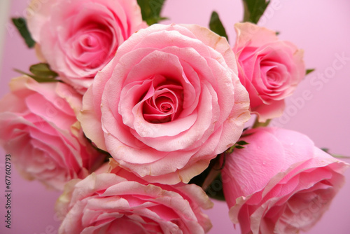 Beautiful pink roses arrangement on pink background. Roses composition background for Mother s day  Woman s day  Rose day and Valentine s day. 