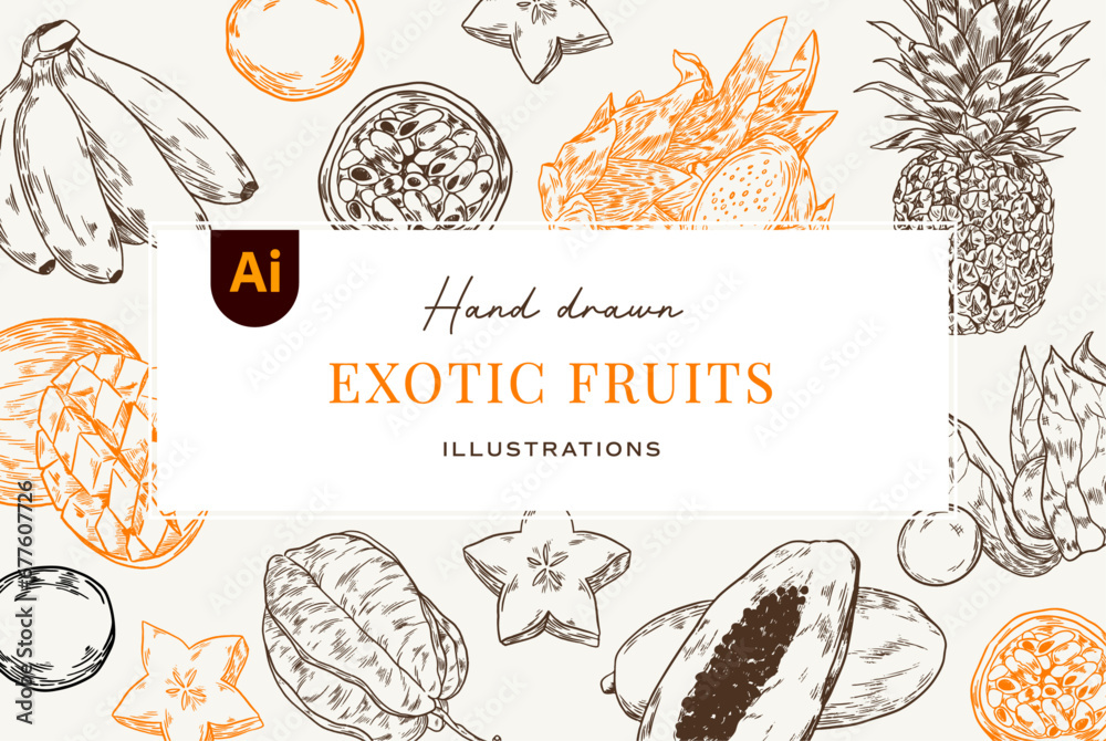 Hand drawn Exotic fruits illustrations (Vector) - obrazy, fototapety, plakaty 