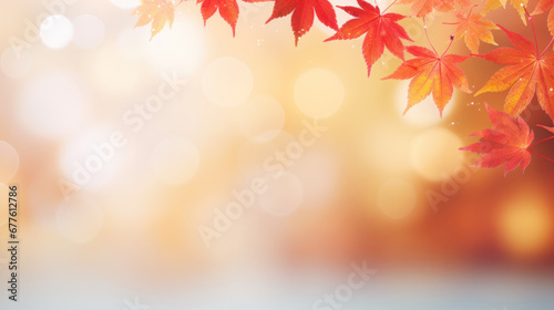 Autumn background with shadow of the maple tree leaves on a wall. Abstract Autumnal scene.