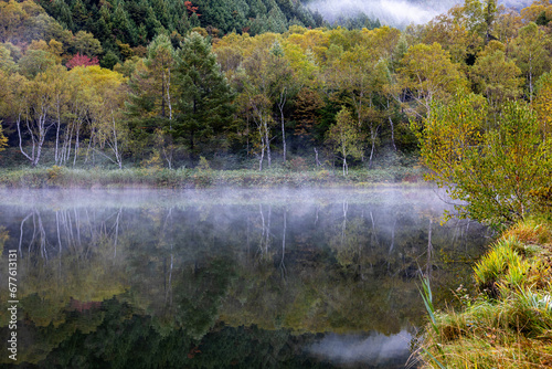 Fototapeta Naklejka Na Ścianę i Meble -  View of autumn leaves at Kido Pond shrouded in autumn morning fog.
