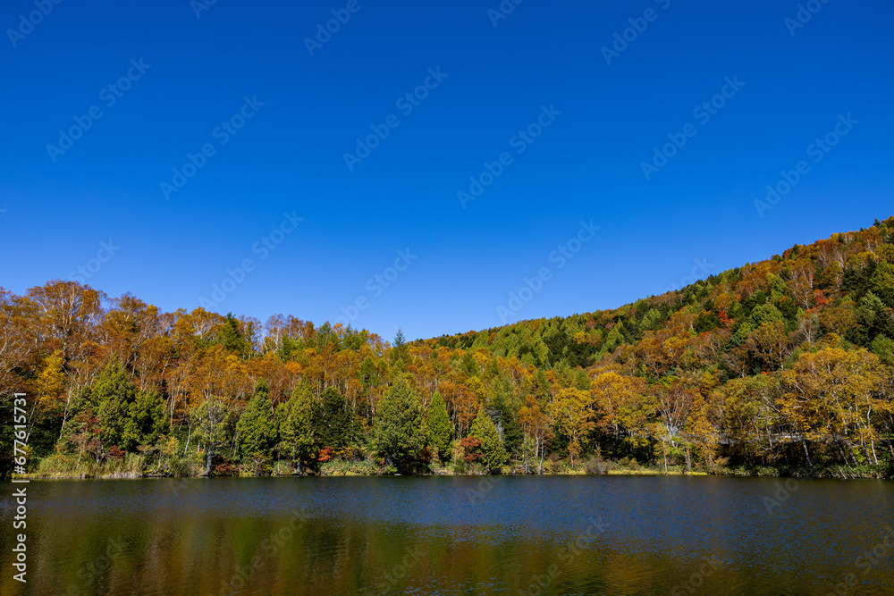 Shiga Kogen Early morning view of autumn leaves at Kido Pond.