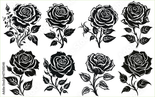Rose flower Silhouettes set, Rose flowers Collection, Silhouettes of roses, Flower silhoutte. Vector illustration