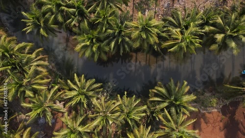 aerial view of blue boats running on the Cokel river, Pacitan, Indonesia. The river has coconut trees on its banks. photo