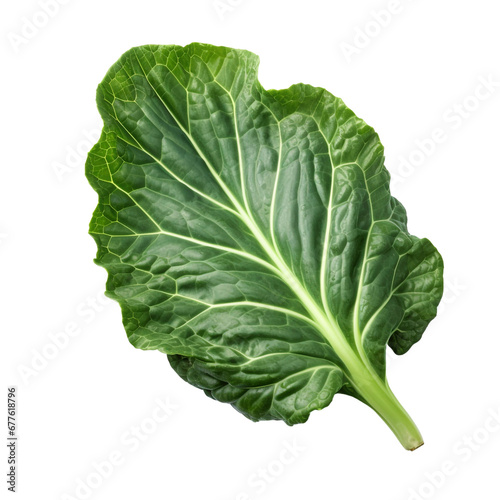 Fresh collard green isolated on transparent background