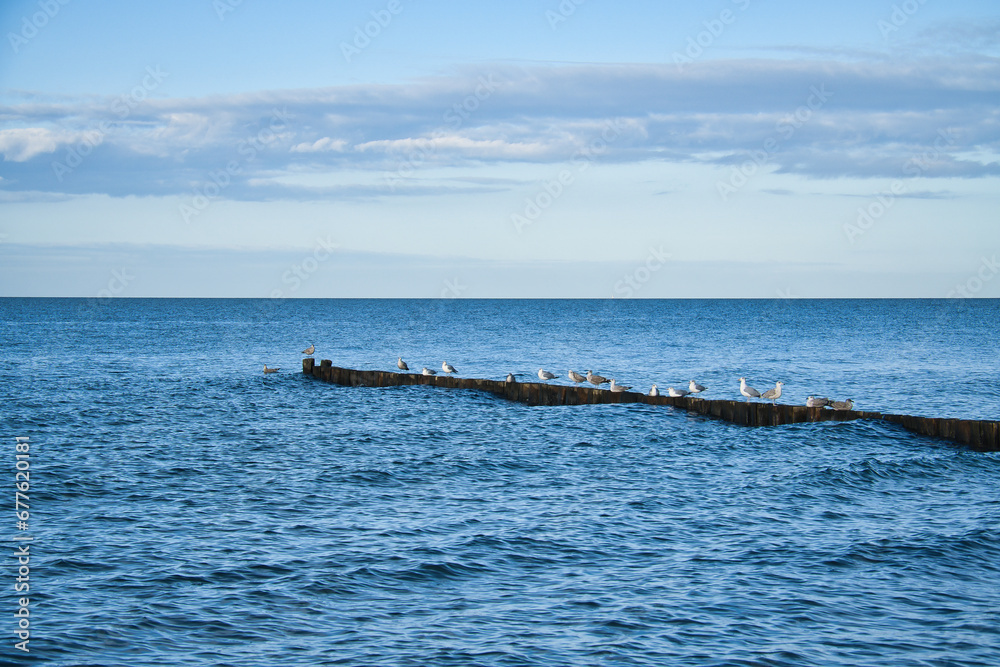 Seagulls on a groyne in the Baltic Sea. Waves and blue sky. Coast by the sea.