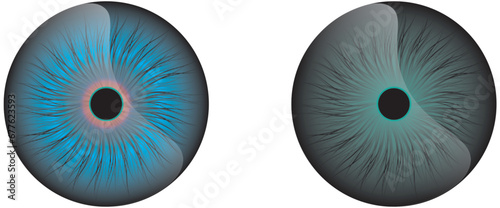 Abstract eye illustration. Iris decorative image. Circle vector line sketch.Blue eye iris pupil vector illustration isolated.Human eye graphic