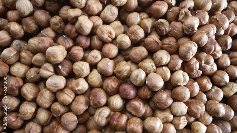 Close-up Macro Panning Shot of Huzelnuts Close-up Macro Panning Shot of Huzelnuts