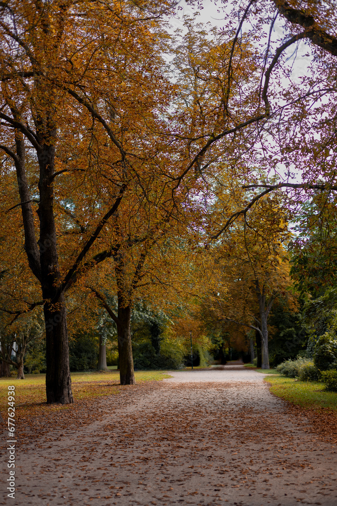 autumn in the city