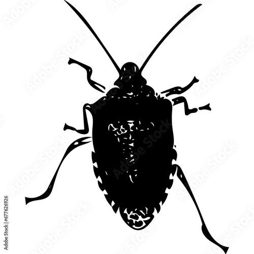 Brown marmorated stink bug black and white illustration image vector