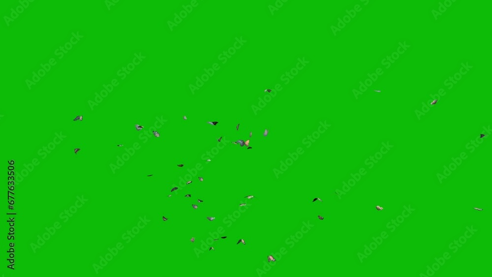 Visual effects, VFX, butterflies flying from the center on green screen 3D animation Visual effects, VFX, butterflies flying from the center on green screen 3D animation