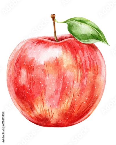 Red apple isolated on white