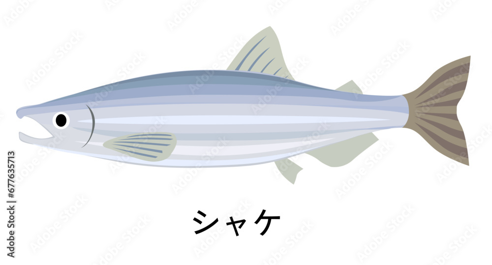 シャケのイラスト