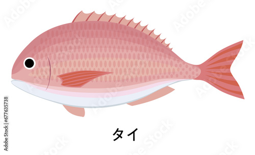 タイのイラスト