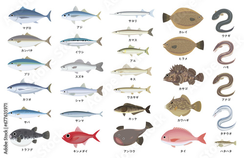 日本で人気な美味しい魚のセットイラスト
