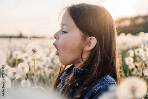 Delightful little lady stand in white dandelions field, taking deep breath and ready to blow fluffy flower at sunset.