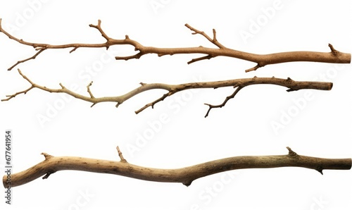 branches, set of twigs isolated on white background, Generative AI