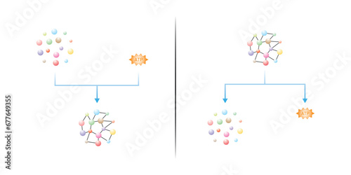 Anabolic and Catabolic Reactions Scientific Design. Vector Illustration.