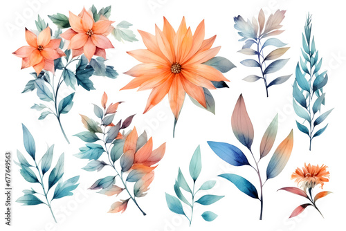 Flowers watercolor illustration set isolated on white background