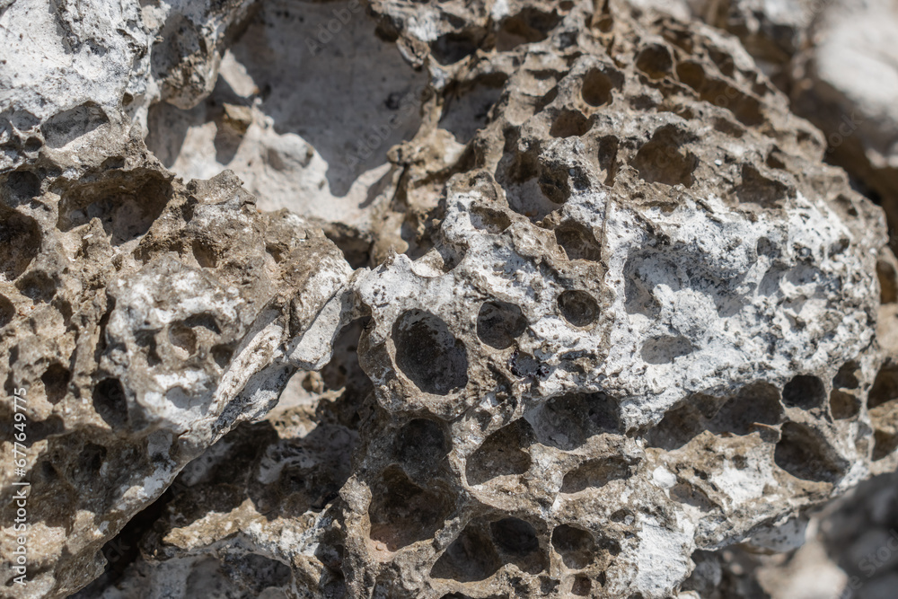 Selective focus and blurred texture of sea rock with holes Selective focus and blurred texture of sea rock with holes