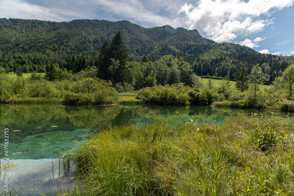 Colorful water at Nature reserve at Zelenci, Slovenia