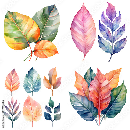 Leaves watercolor graphic illustration set  isolated on white background