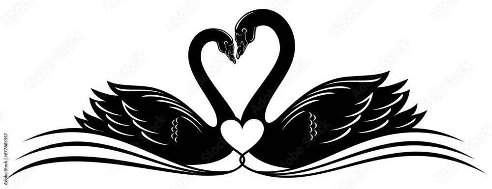 silhouette of a swan
