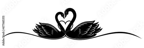 illustration of a swan