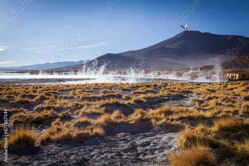 View of Sol de Manana, a geothermal area with volcanic activity and geysers, boiling mud pools, Bolivia. photo