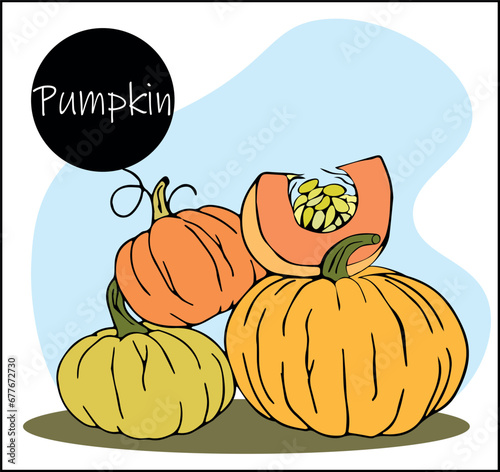 Heap of many harvest orange pumpkins isolated. fresh whole and sliced pumpkin. Elements for autumn decoration, Halloween invitations, harvest.