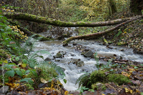Wasserfall im Wald Saarland lange belichtungszeit photo