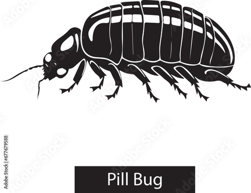 Sow bug icon