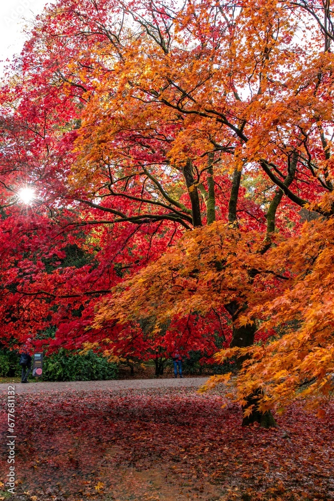 Cotswold autumn