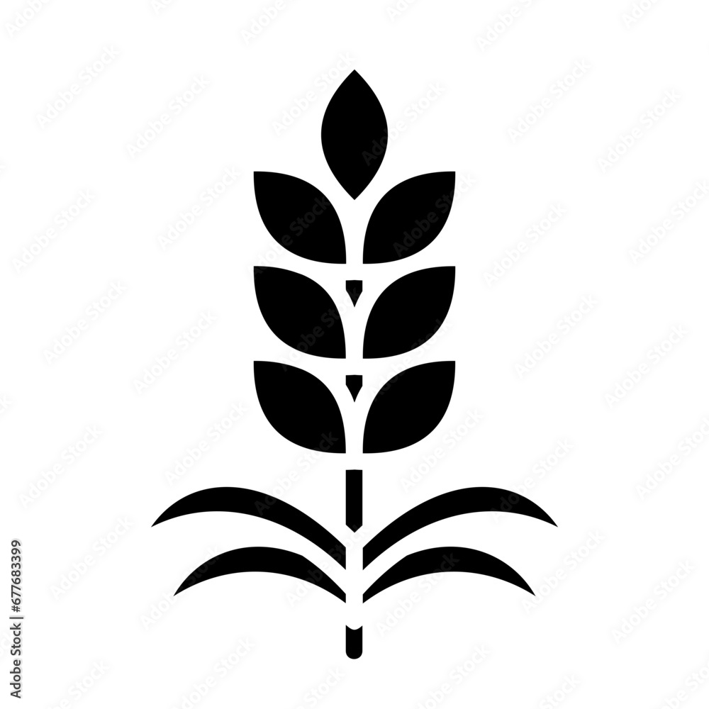 Cereal grain, wheat crop, Triticum, bread grain, wheat plant icon and easy to edit. Cereal grain, wheat crop, Triticum, bread grain, wheat plant icon and easy to edit.